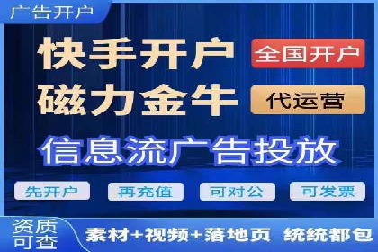 百度竞价SEM成功案例：揭秘广告投放秘诀